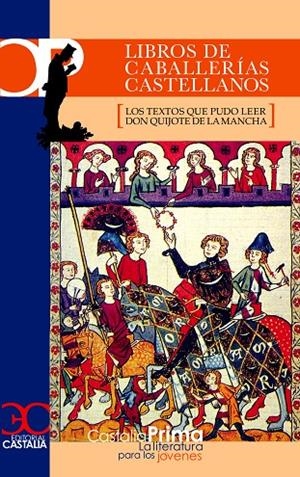LIBROS DE CABALLERÍAS CASTELLANOS (LOS TEXTOS QUE PUDO LEER DON QUIJOTE DE | 9788497402200 | VARIOS AUTORES