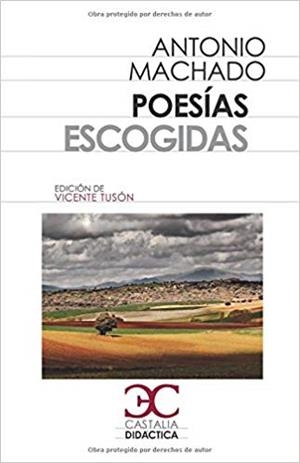 POESÍAS ESCOGIDAS (ANTONIO MACHADO) | 9788497406932 | MACHADO, ANTONIO