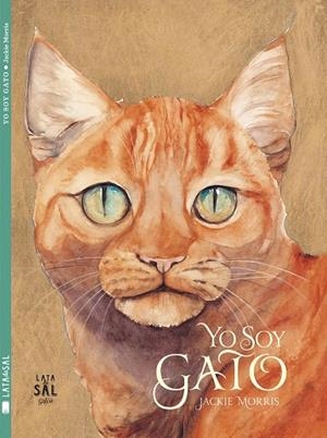 YO SOY GATO | 9788494245145 | MORRIS, JACKIE