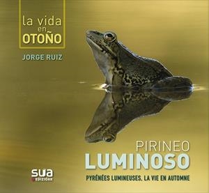 PIRINEO LUMINOSO | 9788482167312 | RUIZ DEL OLMO, JORGE