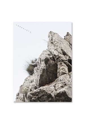 ESCALETA, L' | 9788412096729 | MOYA REDRADO, KIKO / REDRADO CALVIA, ALBERTO