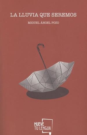 LLUVIA QUE SEREMOS, LA | 9788417938031 | POZO, MIGUEL ANGEL