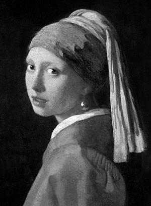 VERMEER | 9780714869681