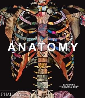 ANATOMY - EXPLORING THE HUMAN BODY | 9780714879888