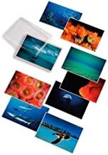 DAVID DOUBILET - WATER LIGHT TIME POSTCARDS | 9780714842271 | DOUBILET, DAVID