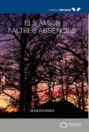 AMICS I ALTRES ABSÈNCIES, ELS | 9788412082968 | MIRÓ GILI, MÀRIUS