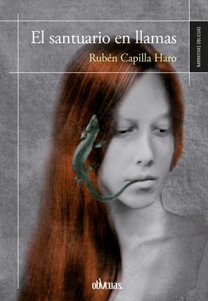 SANTUARIO EN LLAMAS | 9788417709877 | CAPILLA, RUBÉN