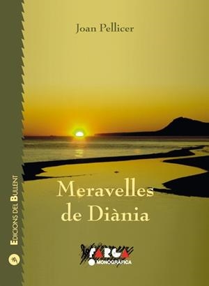 MERAVELLES DE DIÀNIA | 9788489663794 | PELLICER, JOAN