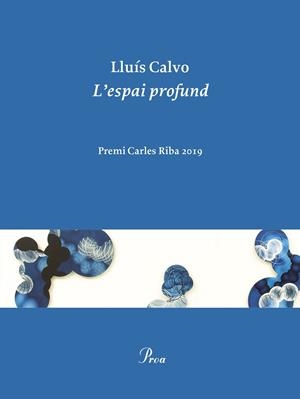 ESPAI PROFUND, L' | 9788475888248 | CALVO, LLUÍS