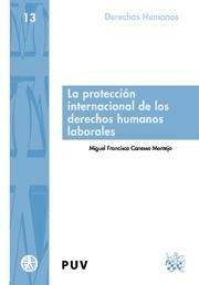 PROTECCIÓN INTERNACIONAL DE LOS DERECHOS HUMANOS, LA | 9788498761689 | CANESSA MONTEJO, MIGUEL FRANCISCO