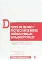 DELITOS DE PELIGRO Y PROTECCIÓN DE BIENES JURÍDICO-PENALES SUPRAINDIVIDUALES | 9788480029766 | CORCOY BIDASOLO, MIRENTXU