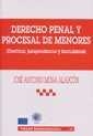 DERECHO PENAL Y PROCESAL DE MENORES | 9788484425823 | MORA ALARCÓN, JOSÉ ANTONIO