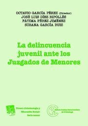 DELINCUENCIA JUVENIL ANTE LOS JUZGADOS DE MENORES, LA | 9788498760040 | OCTAVIO GARCÍA PÉREZ/JOSÉ LUIS DÍEZ RIPOLLÉS/FÁTIMA PÉREZ JIMÉNEZ/SUSANA GARCÍA RUIZ