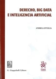 DERECHO, BIG DATA E INTELIGENCIA ARTIFICIAL | 9788413135403 | OTTOLIA, ANDREA