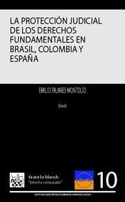 PROTECCIÓN JUDICIAL DE LOS DERECHOS FUNDAMENTALES EN BRASIL, COLOMBIA Y ESPAÑA, LA | 9788484564805 | PAJARES MONTOLÍO, EMILIO