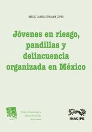 JÓVENES EN RIESGO, PANDILLAS Y DELINCUENCIA ORGANIZADA EN MÉXICO | 9788490538845 | CUNJAMA LÓPEZ, EMILIO DANIEL