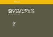 ESQUEMAS DE DERECHO INTERNACIONAL PÚBLICO TOMO XLVI | 9788491906933 | GUTIÉRREZ CASTILLO, VÍCTOR LUIS