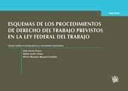 ESQUEMAS DE LOS PROCEDIMIENTOS DE DERECHO DEL TRABAJO PREVISTOS EN LA LEY FEDERAL DEL TRABAJO | 9788490867457 | GARCÍA FRANCO, AÍDA