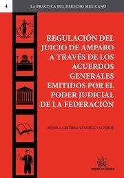REGULACIÓN DEL JUICIO DE AMPARO A TRAVÉS QUE LOS ACUERDOS GENERALES EMITIDOS POR EL PODER JUDICIAL DE LA FEDERACIÓN | 9788490538319 | SÁNCHEZ VALVERDE, MÓNICA CRISTINA