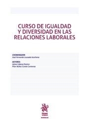 CURSO DE IGUALDAD Y DIVERSIDAD EN LAS RELACIONES LABORALES | 9788491695110 | CABEZA PEREIRO, JAIME