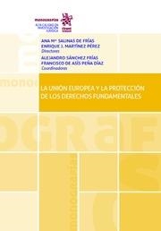 UNIÓN EUROPEA Y LA PROTECCIÓN DE LOS DERECHOS FUNDAMENTALES, LA | 9788491902164 | ALVARES GARCÍA JUNIOR, ARMANDO