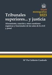 TRIBUNALES SUPERIORES... Y JUSTICIA | 9788491194514 | CALDERÓN CUADRADO, MARÍA PÍA