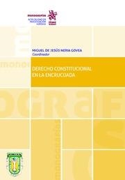 DERECHO CONSTITUCIONAL EN LA ENCRUCIJADA | 9788491692256 | NERIA GOVEA, MIGUEL DE JESÚS