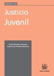 VADEMÉCUM DE JUSTICIA JUVENIL | 9788491195863 | MONTERO HERNANZ, TOMÁS