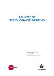 APUNTES DE SOCIOLOGÍA DEL DERECHO | 9788491191346 | GALIANA SAURA,ÁNGELES / RUIZ SANZ, MARIO