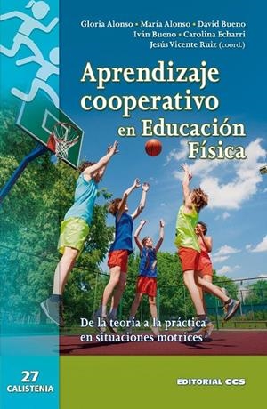 APRENDIZAJE COOPERATIVO EN EDUCACIÓN FÍSICA | 9788490234761 | RUIZ OMEÑACA, JESÚS VICENTE / ALONSO FERNÁNDEZ, GLORIA / ALONSO FERNÁNDEZ, MARÍA / BUENO RUIZ, DAVID