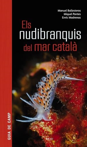 NUDIBRANQUIS DEL MAR CATALÀ, ELS | 9788415885924 | BALLESTEROS VÁZQUEZ, MANUEL / PONTES GARCIA, MIQUEL / MADRENAS TOMÀS, ENRIC