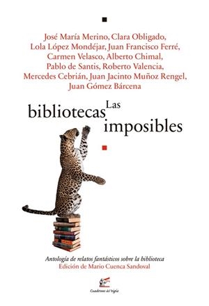 BIBLIOTECAS IMPOSIBLES, LAS | 9788495430687