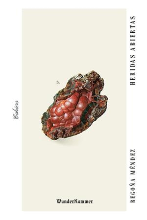 HERIDAS ABIERTAS | 9788494972591 | MENDEZ, BEGOÑA