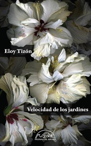 VELOCIDAD DE LOS JARDINES | 9788483932209 | TIZÓN, ELOY