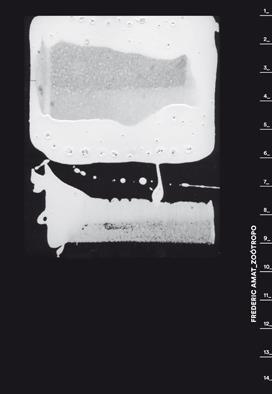 FREDERIC AMAT ZOOTROPO | 9788417047016 | AMAT, FREDERIC