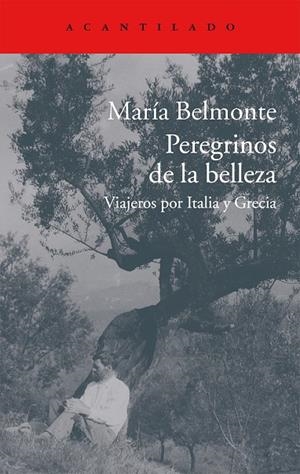 PEREGRINOS DE LA BELLEZA | 9788416011513 | BELMONTE, MARÍA