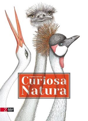 CURIOSA NATURA | 9788494713538 | GUIRAUD, FLORENCE