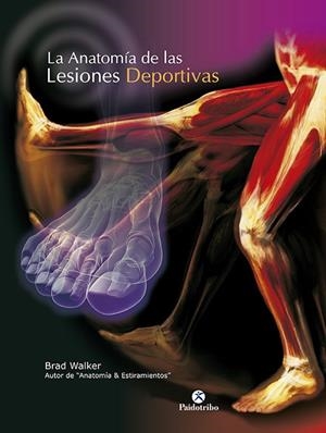 ANATOMÍA DE LAS LESIONES DEPORTIVAS, LA | 9788499100197 | WALKER, BRAD
