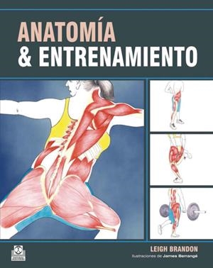 ANATOMÍA & ENTRENAMIENTO | 9788499100548 | BRANDON, LEIGH