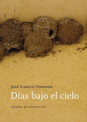DÍAS BAJO EL CIELO | 9788493943707 | FORONDA, JOSÉ IGNACIO