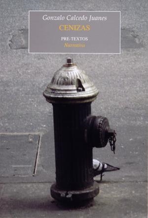CENIZAS | 9788481918861 | CALCEDO JUANES, GONZALO