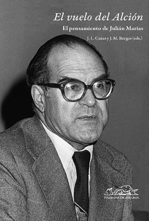 VUELO DEL ALCIÓN, EL | 9788483930267 | CAÑAS, JOSÉ LUIS / BURGOS, JUAN MANUEL