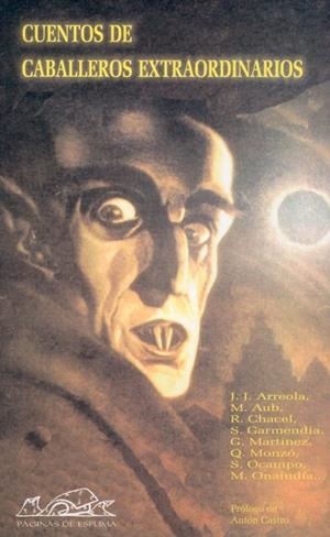 CUENTOS DE CABALLEROS EXTRAORDINARIOS | 9788495642523 | PALETTA, VIVIANA / SÁEZ DE IBARRA, JAVIER