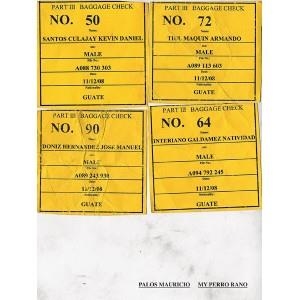 MY PERRO RANO | 9788492480944 | PALOS, MAURICIO