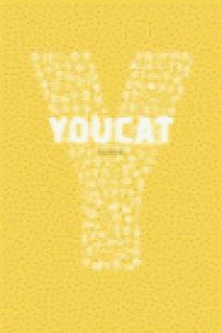YOUCAT CATECISMO JOVEN DE LA IGLESIA CATOLICA | 9788499200996
