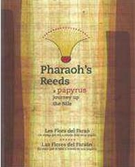 PHARAOH'S REEDS A PAPYRUS JOURNEY UP THE NILE | 9788439394204 | DEPARTAMENT D'EDUCACIÓ