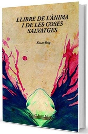 LLIBRE DE L'ÀNIMA I DE LES COSES SALVATGES | 9788494271519 | REIG, ÉNCAR