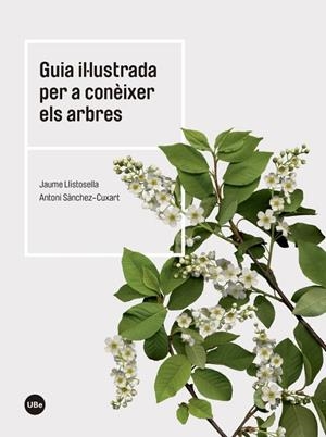 GUIA IL·LUSTRADA PER A CONÈIXER ELS ARBRES | 9788447542444 | LLISTOSELLA VIDAL, JAUME / SÀNCHEZ CUXART, ANTONI