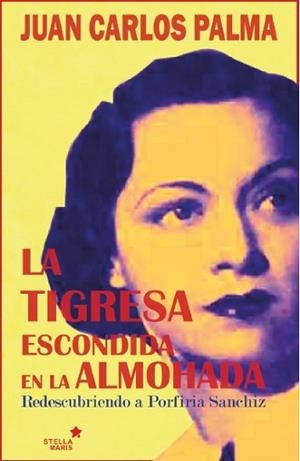 TIGRESA ESCONDIDA EN LA ALMOHADA, LA | 9788416541591 | PALMA, JUAN CARLOS