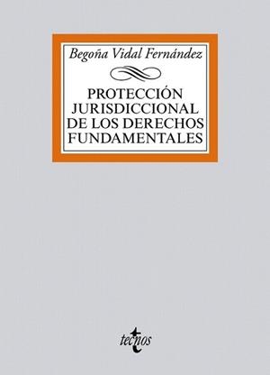 PROTECCIÓN JURISDICCIONAL DE LOS DERECHOS FUNDAMENTALES | 9788430965991 | VIDAL FERNÁNDEZ, BEGOÑA